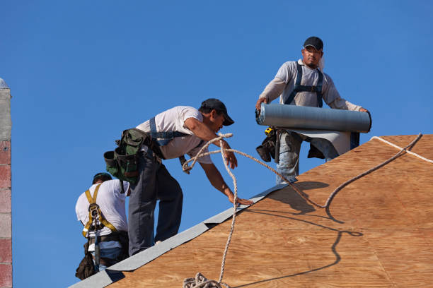 Best Metal Roofing Contractor  in Walnut Creek, NC